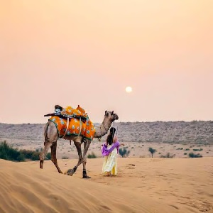 Desert Safari
