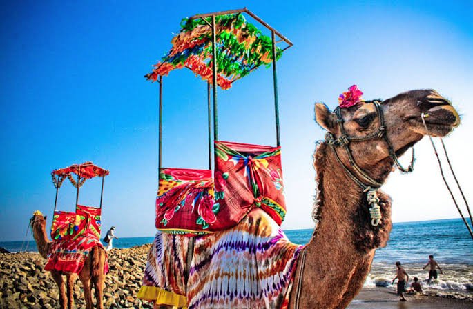 Golden Triangle Tour with Kerala